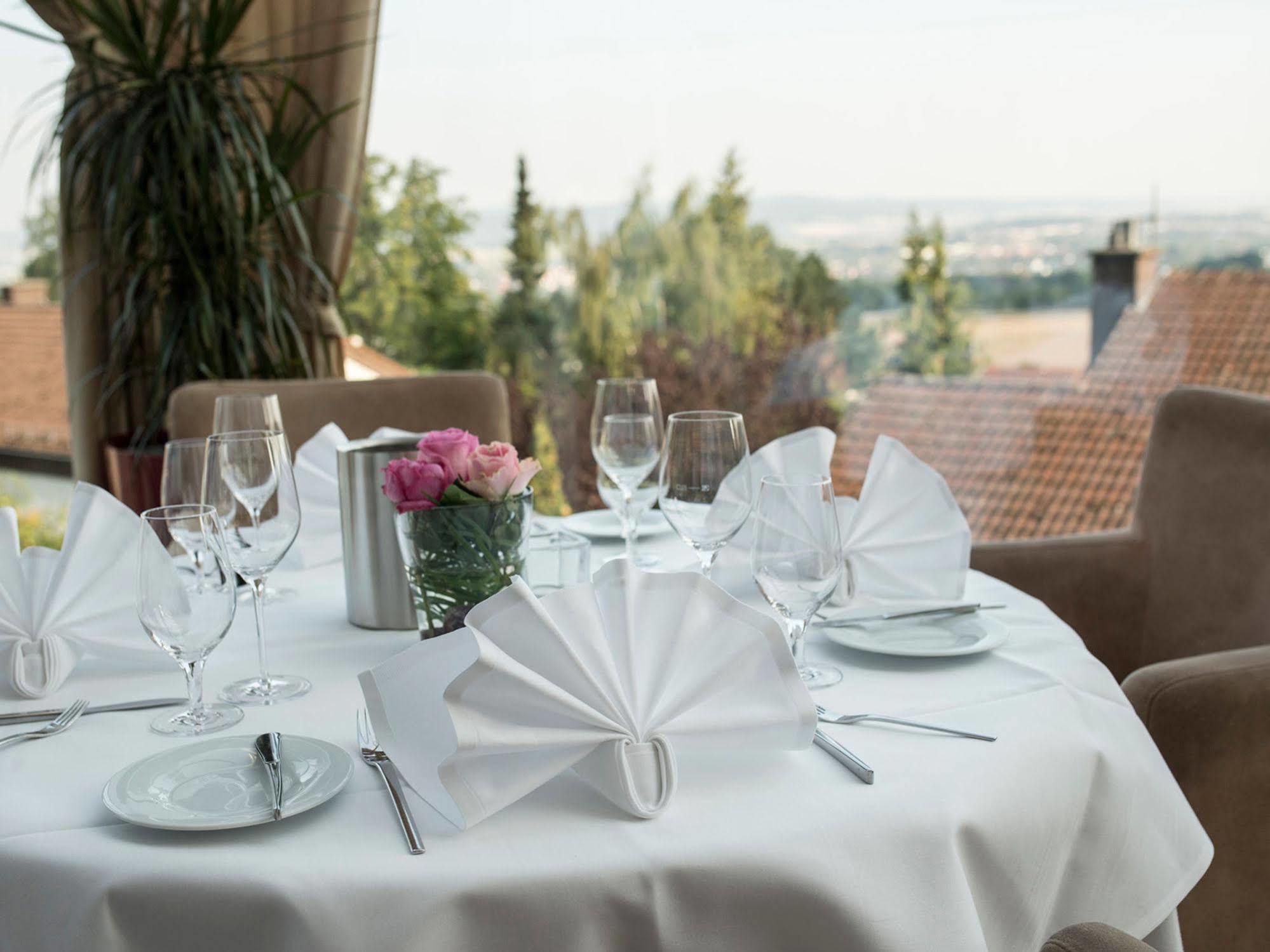 Design-konferenzhotel & Restaurant Steinernes Schweinchen Hotel 4*